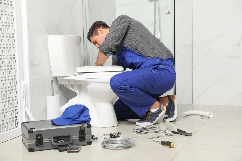 Toilet Repair in Summerset
